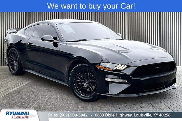 2019 Ford Mustang EcoBoost RWD photo