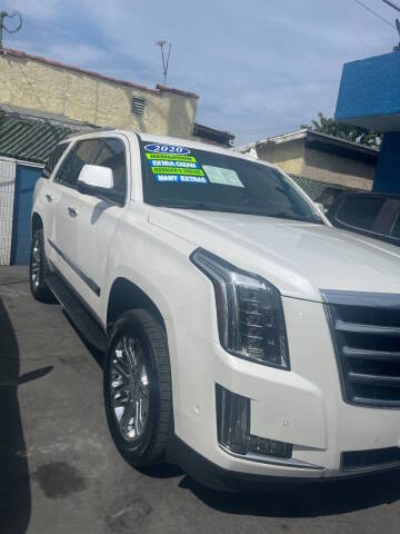 2020 Cadillac Escalade RWD photo
