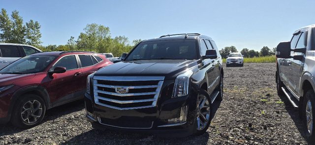2020 Cadillac Escalade Luxury 4WD photo