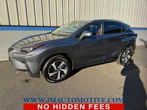 2020 Lexus NX NX 300 AWD photo