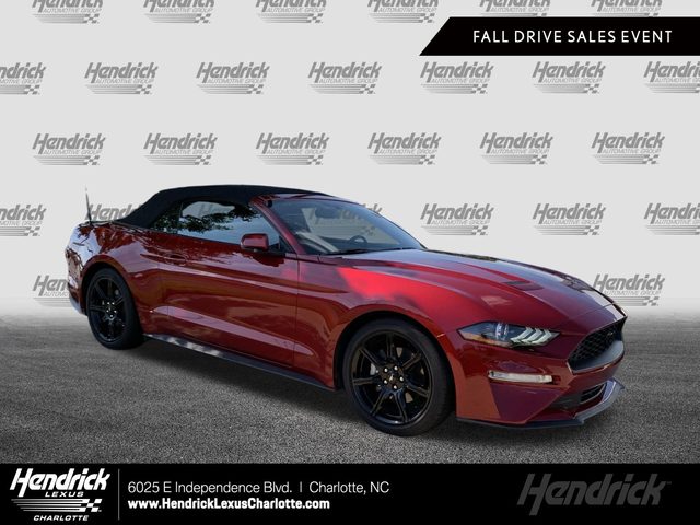 2019 Ford Mustang EcoBoost Premium RWD photo
