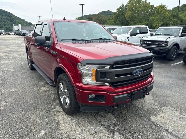 2019 Ford F-150 XLT 4WD photo