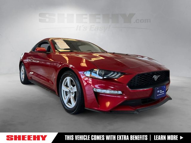 2020 Ford Mustang EcoBoost RWD photo