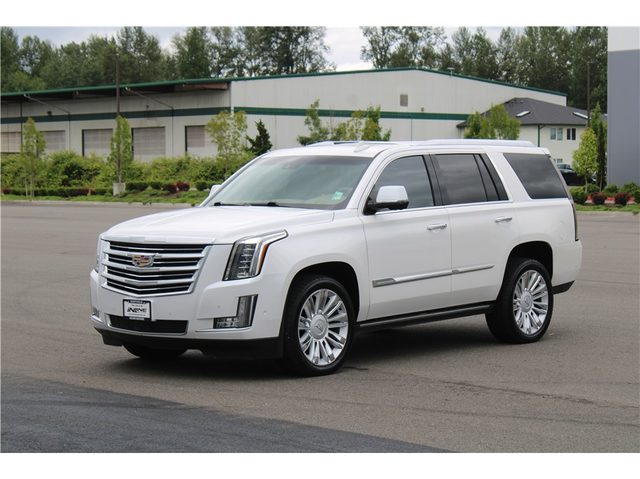 2018 Cadillac Escalade Platinum 4WD photo