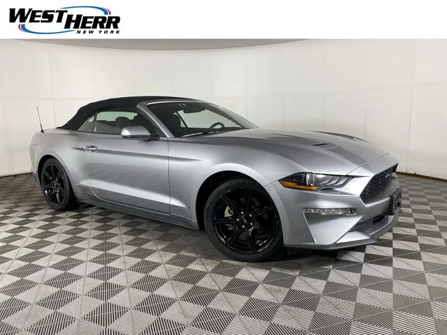 2020 Ford Mustang EcoBoost RWD photo
