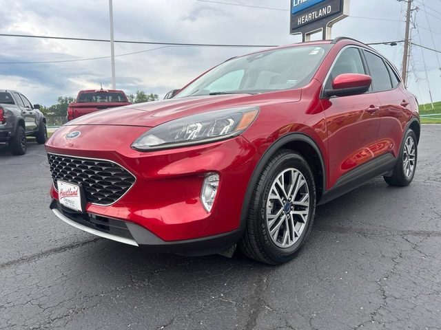 2020 Ford Escape SEL FWD photo