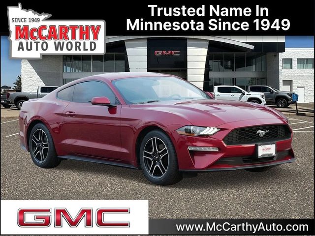 2019 Ford Mustang EcoBoost RWD photo
