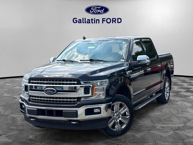 2019 Ford F-150 XLT 4WD photo