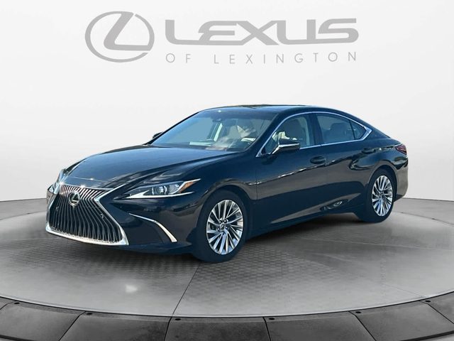 2020 Lexus ES ES 350 Luxury FWD photo