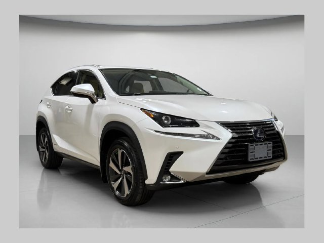 2020 Lexus NX NX 300h AWD photo