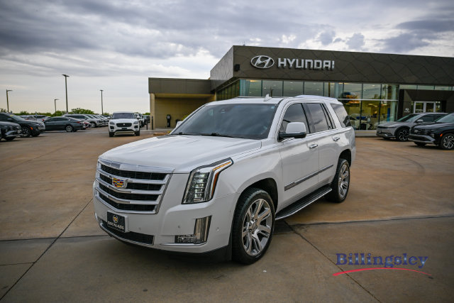 2020 Cadillac Escalade Luxury 4WD photo