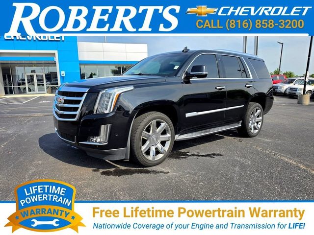 2019 Cadillac Escalade Luxury 4WD photo