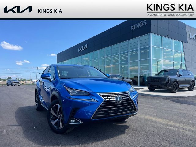 2020 Lexus NX NX 300 AWD photo