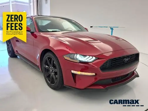 2020 Ford Mustang EcoBoost RWD photo