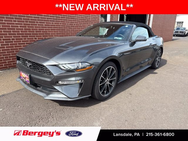2019 Ford Mustang EcoBoost Premium RWD photo