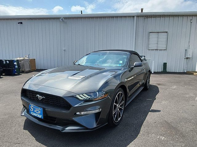2019 Ford Mustang EcoBoost Premium RWD photo
