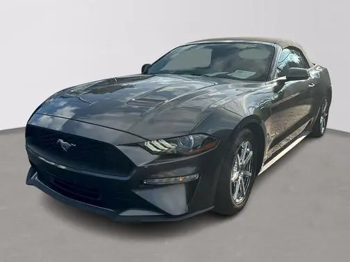 2019 Ford Mustang EcoBoost RWD photo