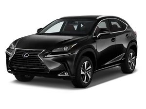 2020 Lexus NX NX 300h AWD photo