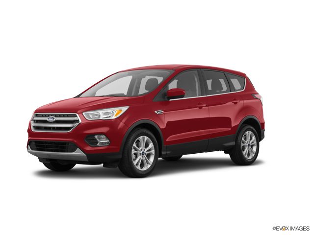 2019 Ford Escape SE 4WD photo