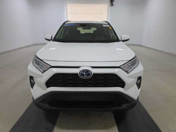 2020 Toyota RAV4 Hybrid XLE AWD photo