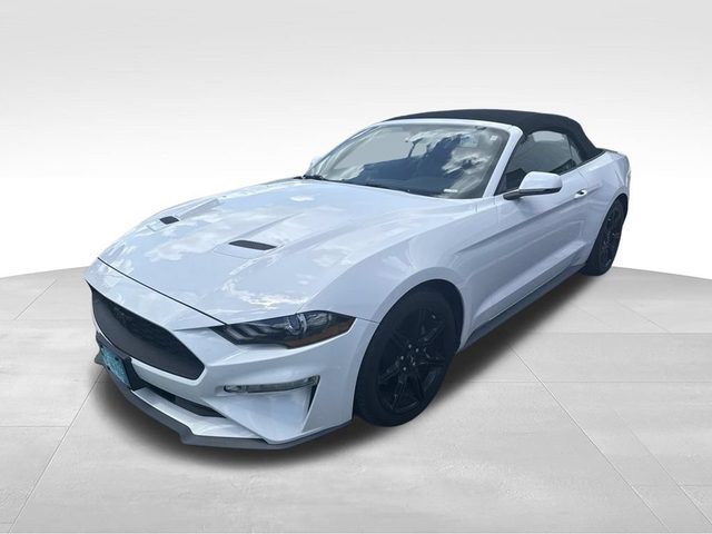 2019 Ford Mustang EcoBoost RWD photo