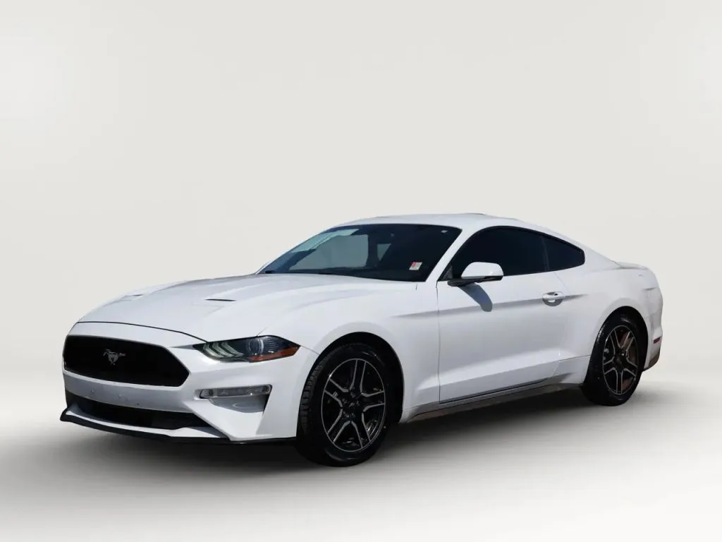 2019 Ford Mustang EcoBoost RWD photo