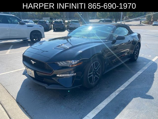 2019 Ford Mustang EcoBoost Premium RWD photo