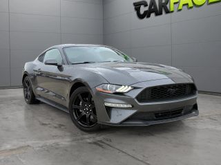 2020 Ford Mustang EcoBoost RWD photo