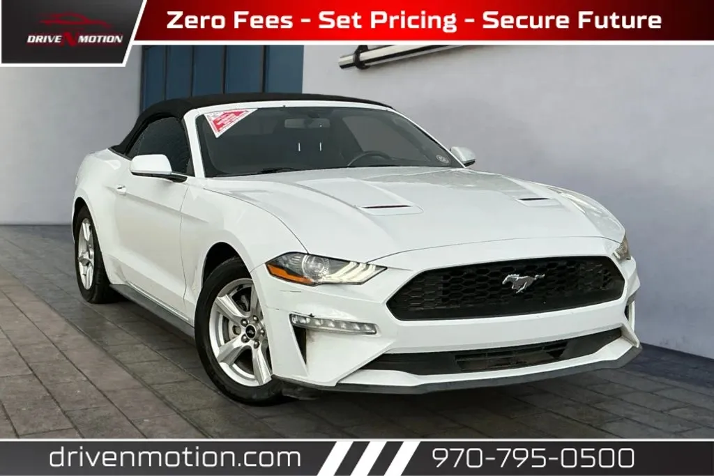 2019 Ford Mustang EcoBoost RWD photo