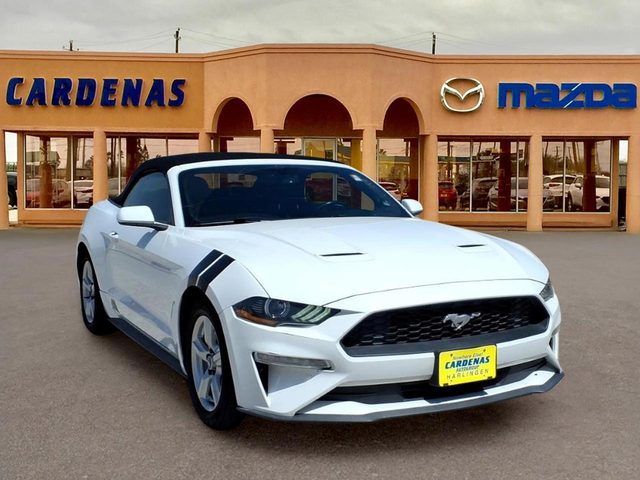 2019 Ford Mustang EcoBoost RWD photo