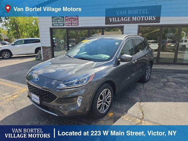 2020 Ford Escape SEL AWD photo
