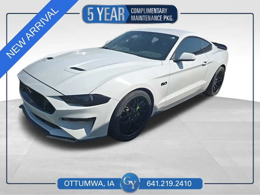2019 Ford Mustang GT RWD photo