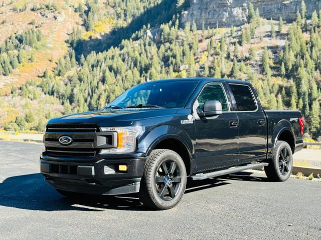 2020 Ford F-150 XLT 4WD photo