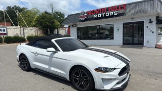 2019 Ford Mustang EcoBoost RWD photo
