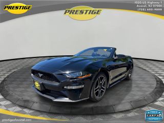 2019 Ford Mustang EcoBoost RWD photo