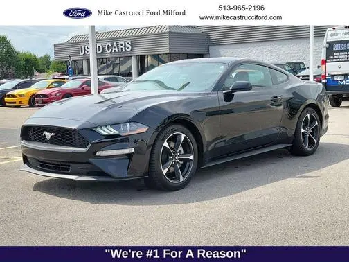 2020 Ford Mustang EcoBoost RWD photo