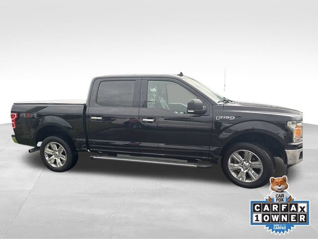 2020 Ford F-150 XLT 4WD photo