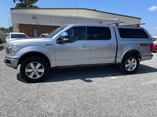 2020 Ford F-150 Platinum 4WD photo