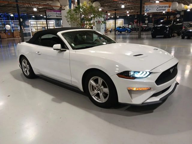 2019 Ford Mustang EcoBoost RWD photo