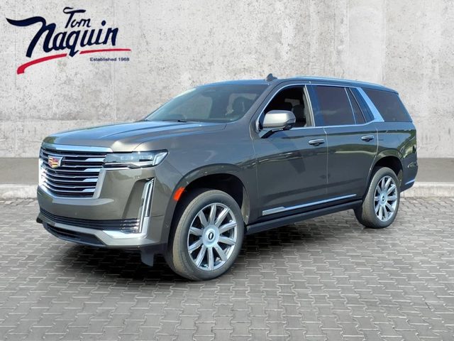 2021 Cadillac Escalade Premium Luxury Platinum 4WD photo