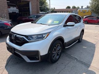 2020 Honda CR-V EX-L AWD photo