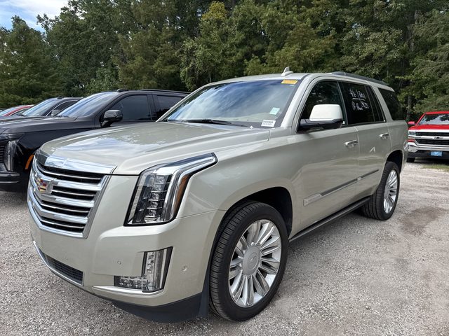2017 Cadillac Escalade Platinum 4WD photo
