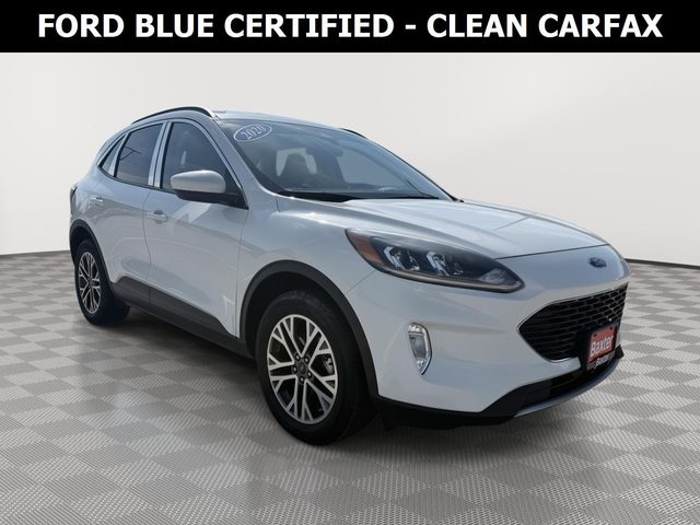 2020 Ford Escape SEL AWD photo
