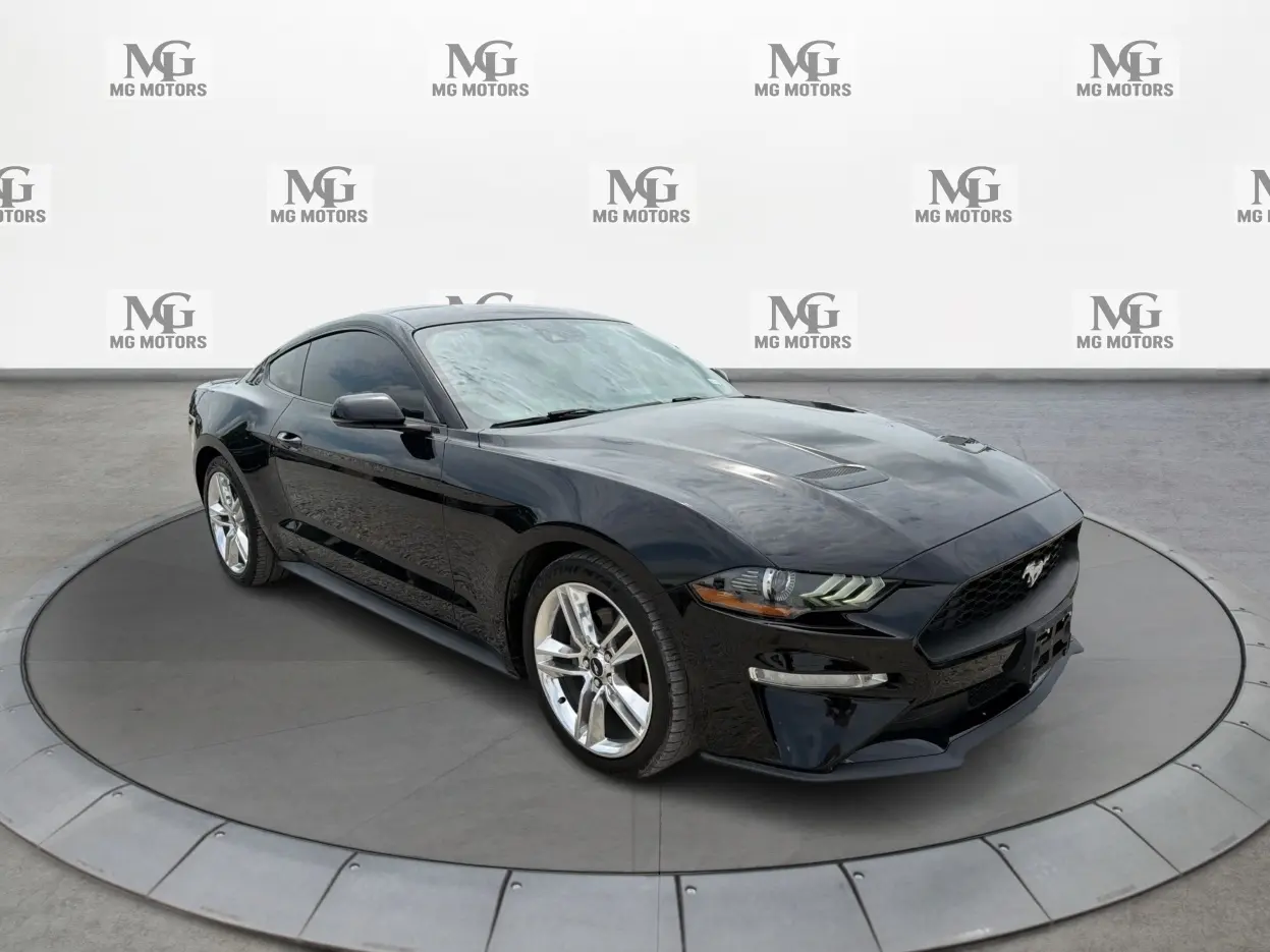 2020 Ford Mustang EcoBoost Premium RWD photo