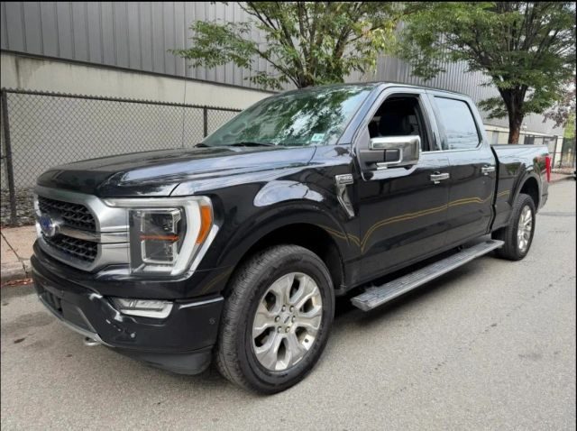 2021 Ford F-150 Platinum 4WD photo