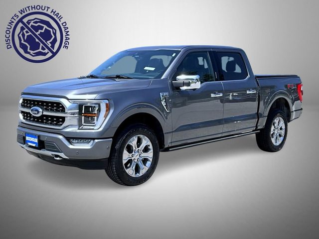 2021 Ford F-150 Platinum 4WD photo