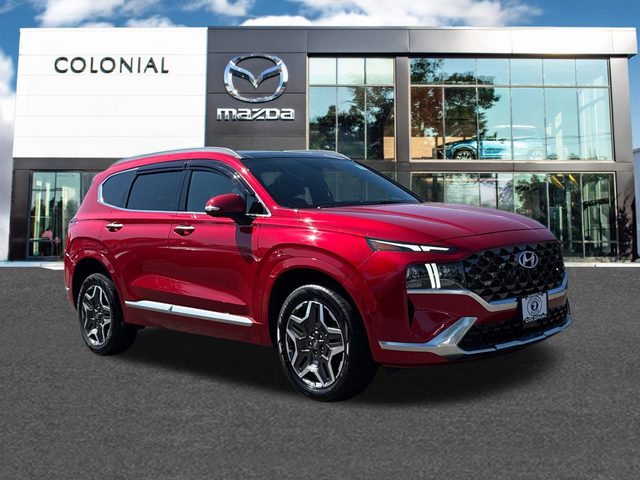 2021 Hyundai Santa Fe Calligraphy AWD photo