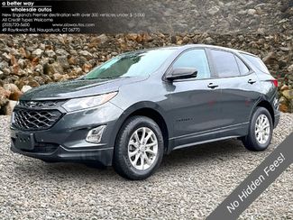 2021 Chevrolet Equinox LS AWD photo