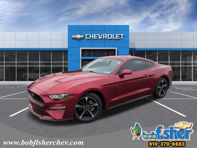 2021 Ford Mustang EcoBoost RWD photo