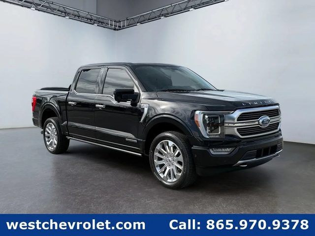 2021 Ford F-150 Limited 4WD photo